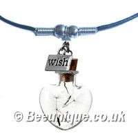 Heart Wish Bottle Necklace